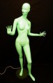 /album/galerie-photos/green2-jpg/